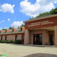 Meadowlands Veterinary Hospital ico