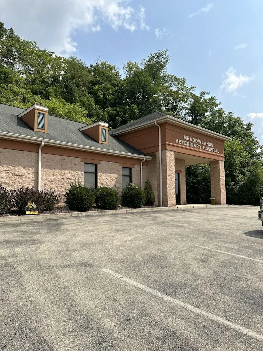 Meadowlands Veterinary Hospital 6
