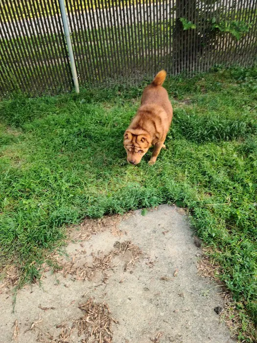 Meadowlands Veterinary Hospital 9
