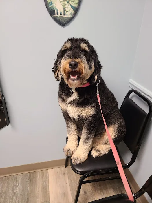 Meadowlands Veterinary Hospital 5