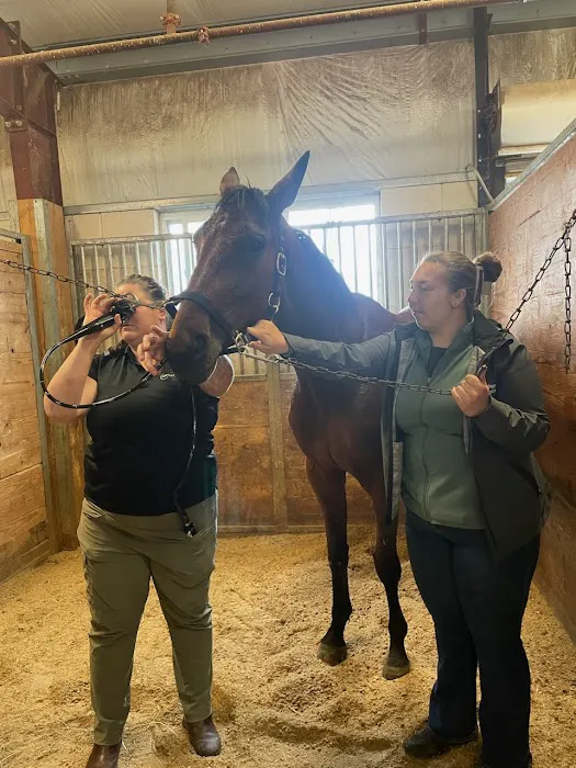 Performance Equine 3