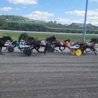 Performance Equine ico