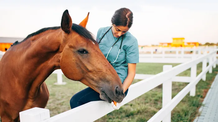 Canon Hill Veterinary Clinic 3