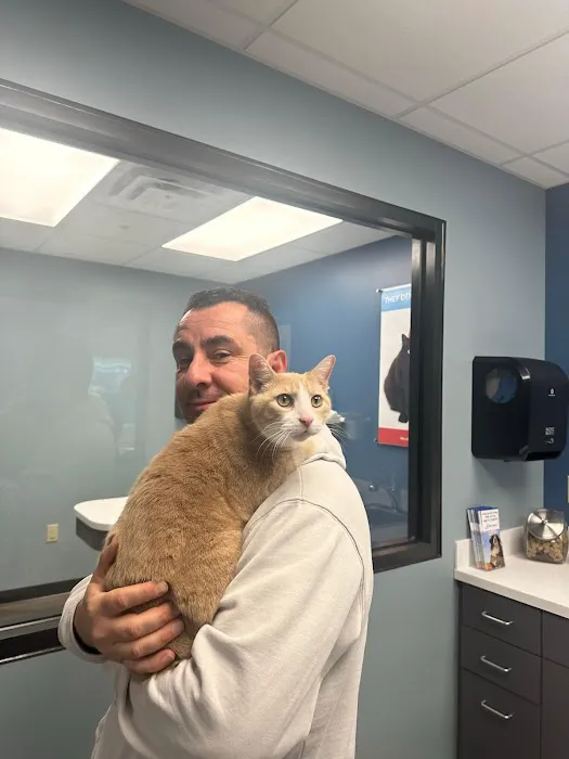 PetWellClinic - Washington 1