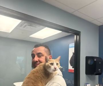 PetWellClinic - Washington