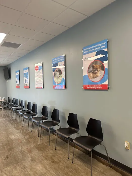 PetWellClinic - Washington 5