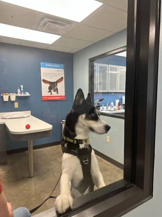 PetWellClinic - Washington 4