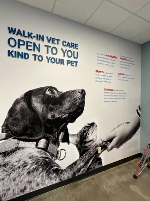 PetWellClinic - Washington 9