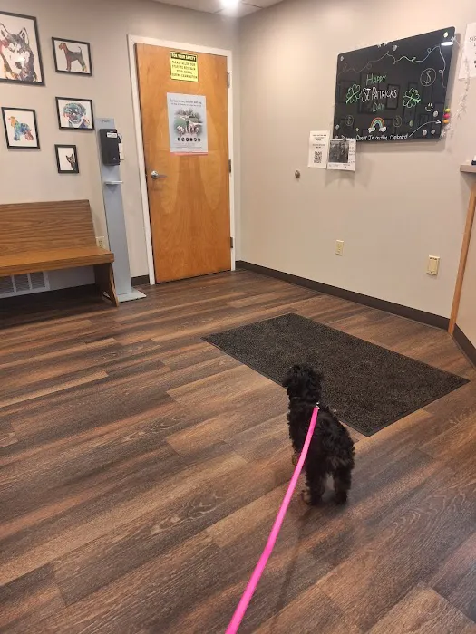 Hidden Valley Animal Clinic 9