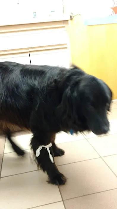 Hidden Valley Animal Clinic 5
