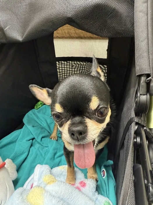Pleasant Valley Veterinary Clinic 1