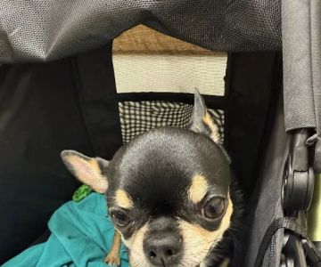 Pleasant Valley Veterinary Clinic