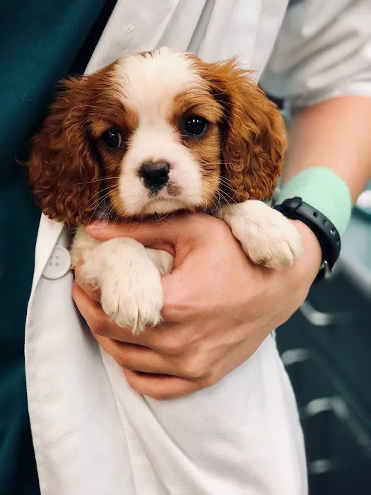 Pleasant Valley Veterinary Clinic 7