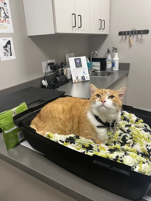 Greentree Animal Clinic South 1