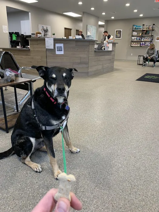 Greentree Animal Clinic South 5
