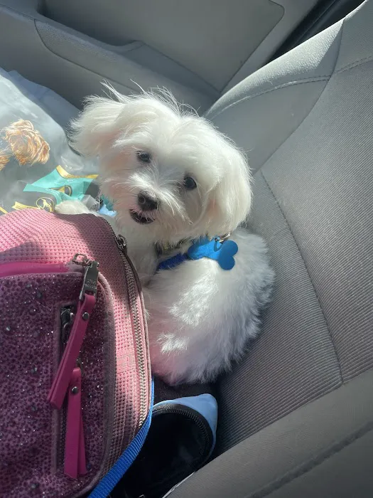 Greentree Animal Clinic South 8
