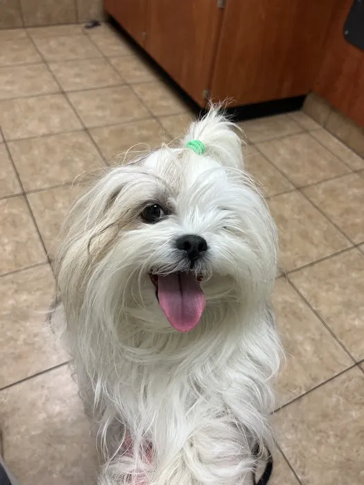 Banfield Pet Hospital 6