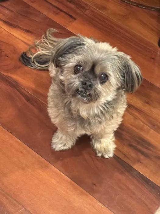 Banfield Pet Hospital 9