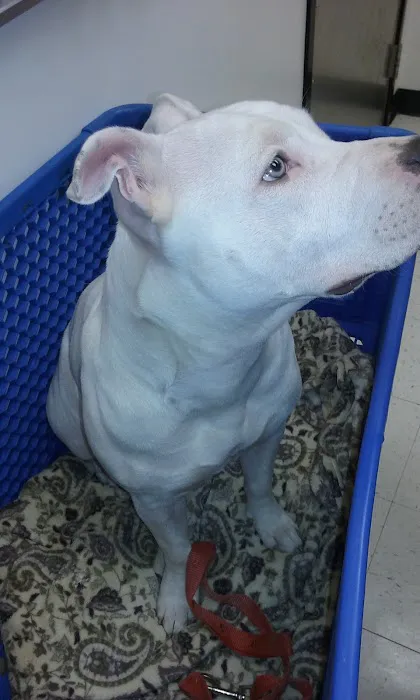 Banfield Pet Hospital 8