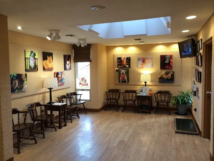 VCA Wexford Animal Hospital 1