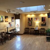 VCA Wexford Animal Hospital ico