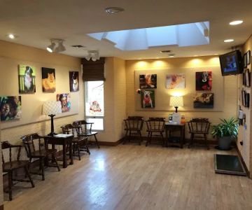 VCA Wexford Animal Hospital