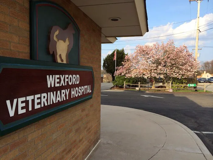 VCA Wexford Animal Hospital 2