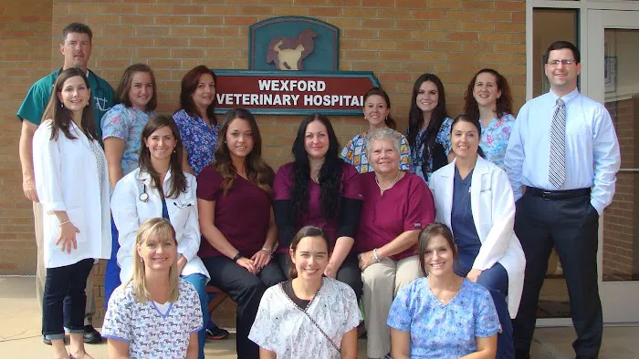 VCA Wexford Animal Hospital 9