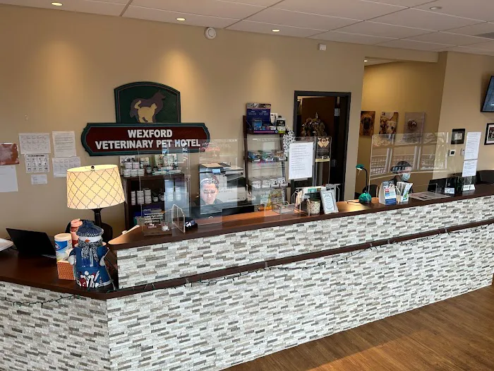 VCA Wexford Animal Hospital 3