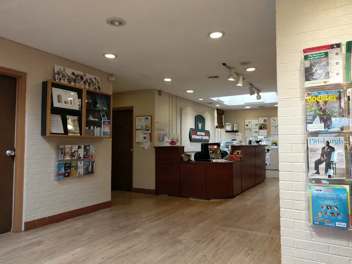 VCA Wexford Animal Hospital 4