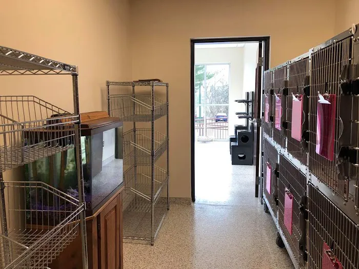VCA Wexford Animal Hospital 6