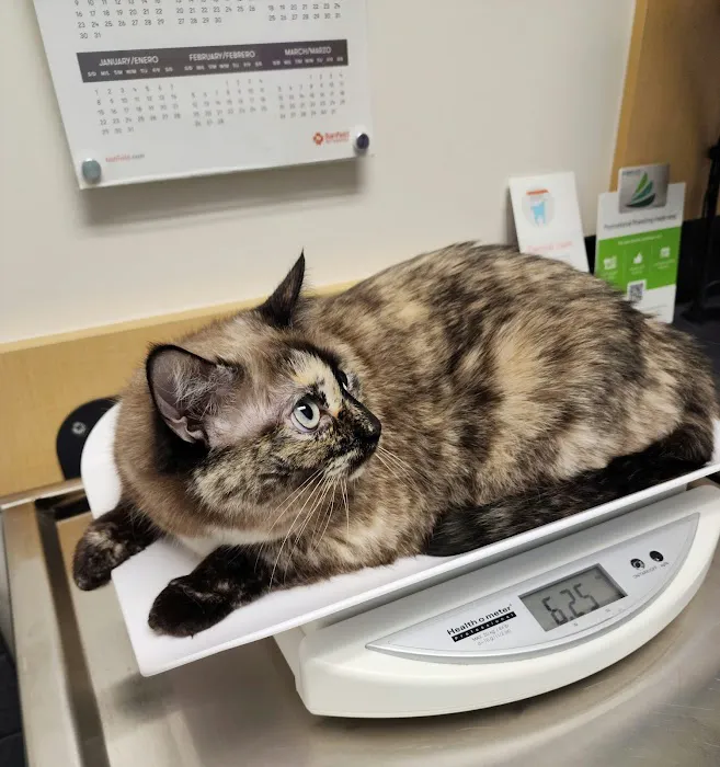 Banfield Pet Hospital 4
