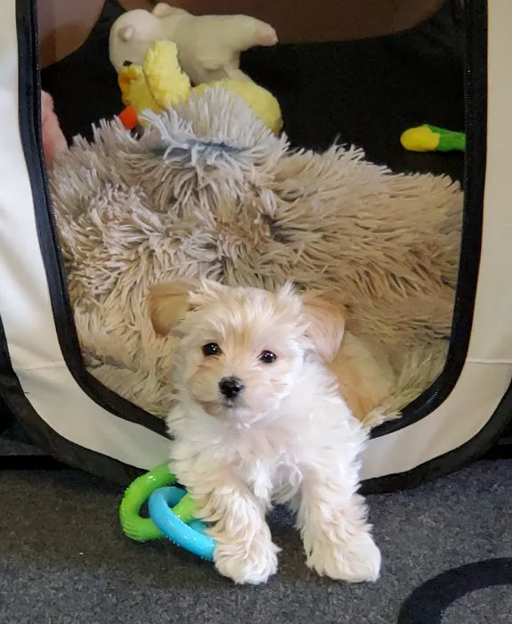 Banfield Pet Hospital 7