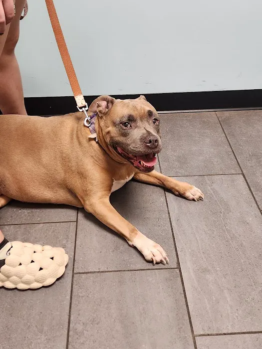 Banfield Pet Hospital 2