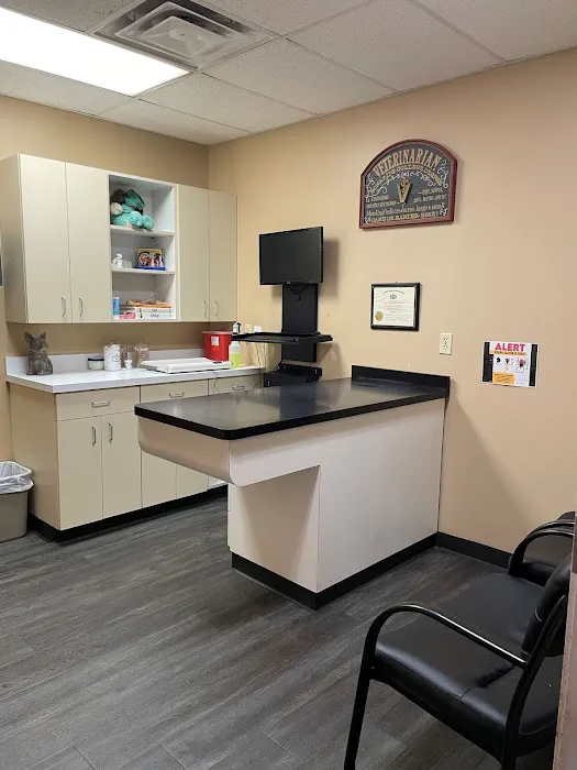 Allegheny Veterinary Associates 10