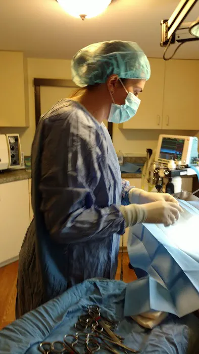 Pine Village Veterinarian 4