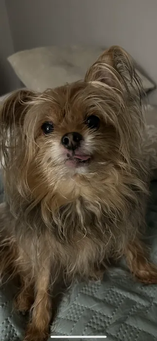 Tender Touch Veterinary Hospital 7