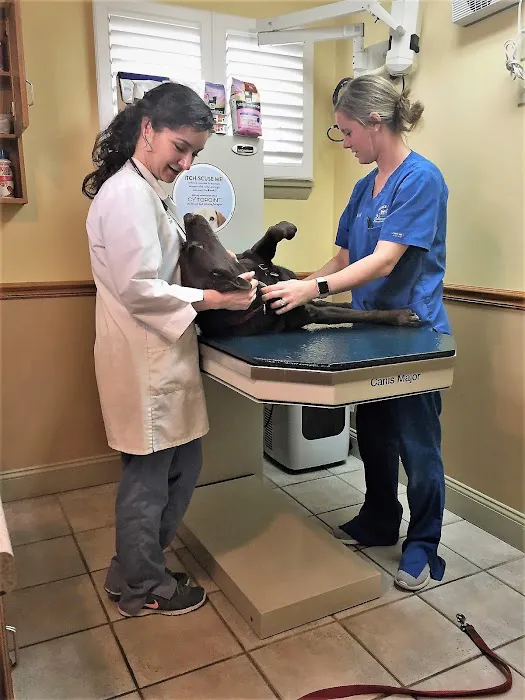 Tender Touch Veterinary Hospital 6