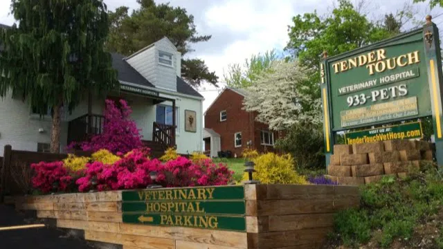 Tender Touch Veterinary Hospital 4