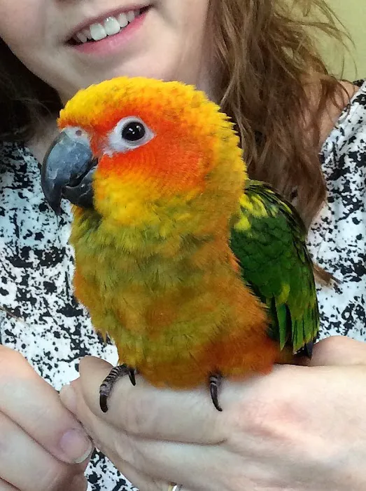 Tender Touch Veterinary Hospital 9