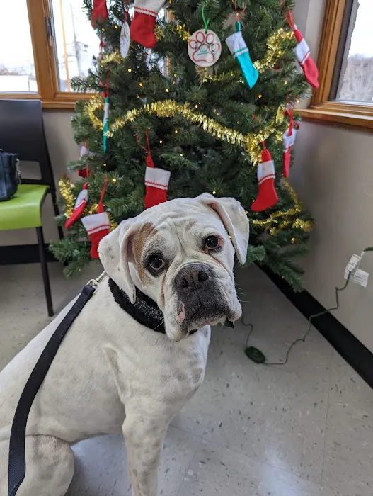 Safe Haven Veterinary Hospital 5