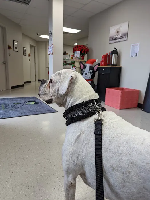 Safe Haven Veterinary Hospital 2