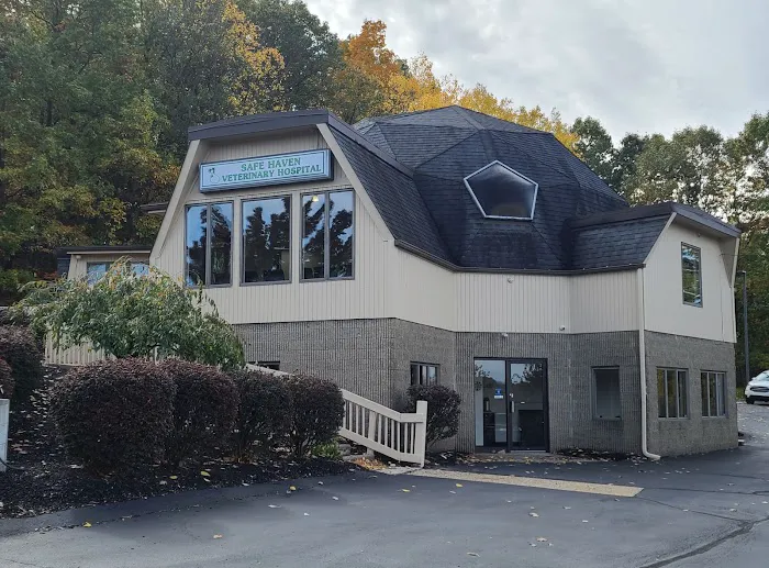 Safe Haven Veterinary Hospital 1