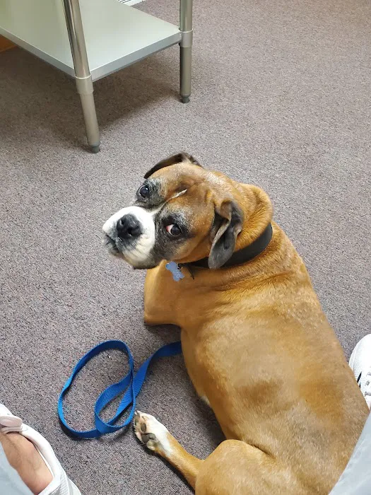 Safe Haven Veterinary Hospital 9