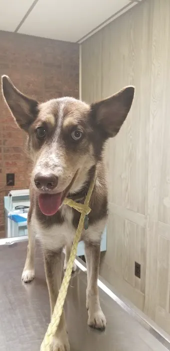 Thornwood Veterinary Hospital 4