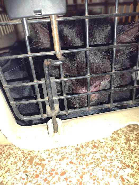 Thornwood Veterinary Hospital 8