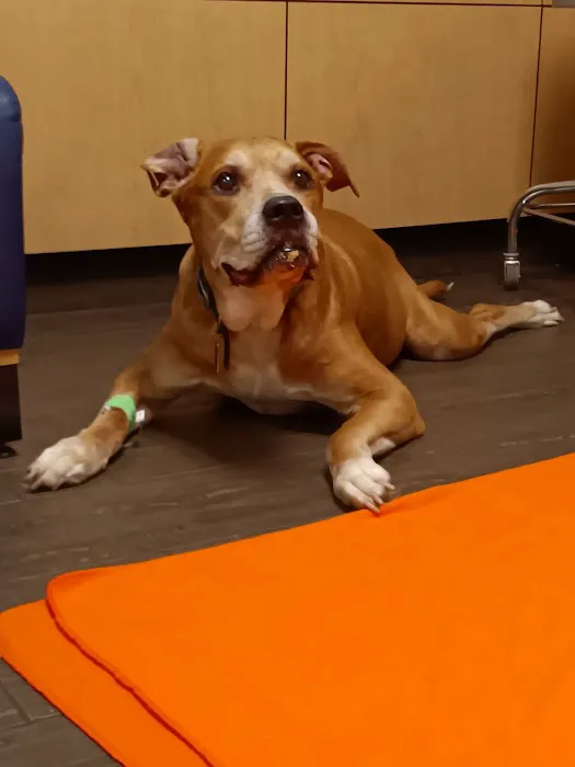 Banfield Pet Hospital 1