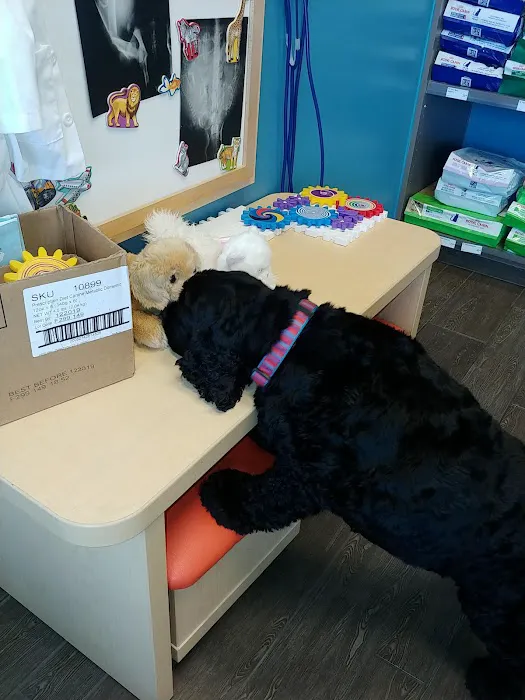 Banfield Pet Hospital 5