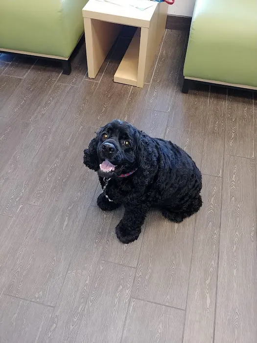 Banfield Pet Hospital 4