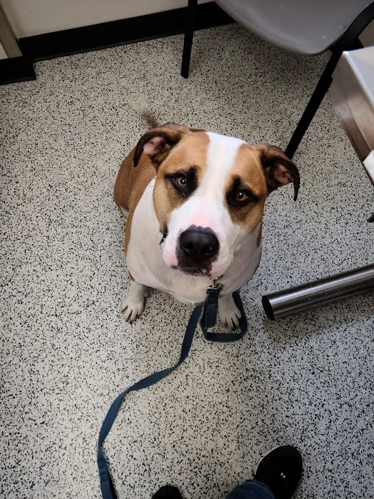 Chartiers Animal Hospital Ltd 3
